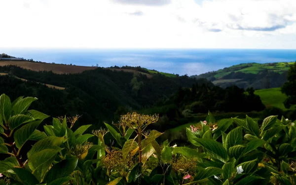 Prachtige Wilde Natuur Van Sao Miguel Azoren Eilanden Atlantische Oceaan — Stockfoto