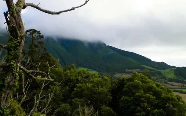 Prachtige Wilde Natuur Van Sao Miguel Azoren Eilanden Bewolkte Mistige — Stockfoto