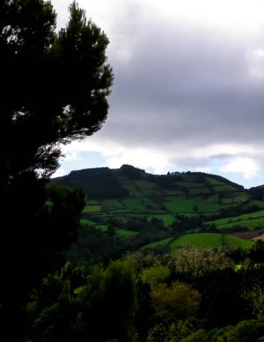 Azores adaları Sao Miguel 'in vahşi doğası. Dağlar, otlaklar, çayırlar ve tropikal ormanlar. Azores Portekiz 'in otonom bölgesi olan küçük bir takımadalardır..