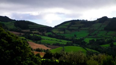 Azores adaları Sao Miguel 'in vahşi doğası. Dağlar, otlaklar, çayırlar ve tropikal ormanlar. Azores Portekiz 'in otonom bölgesi olan küçük bir takımadalardır..