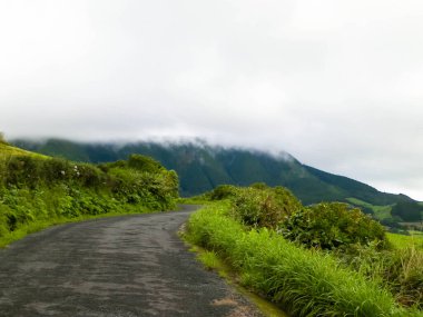 Dağ yolu, Sao Miguel, Azores adaları. Atlantik Okyanusu 'ndaki küçük takımadaların güzel doğası. Azores iland, Portekiz 'in otonom bölgesidir..