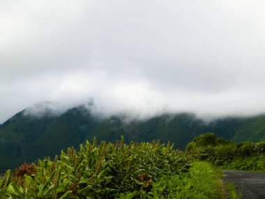 Azores adaları Sao Miguel 'in vahşi doğası. Bulutlu, sisli bir gün Azores için normal bir hava, Atlantik Okyanusu 'nda küçük bir takımada ve Portekiz' in otonom bölgesi için normal bir hava durumudur..