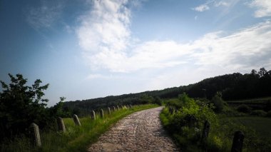 Wiezyca, Polonya 'daki tarlaların içinden. Kashubia doğası - Kuzey Polonya 'nın güzel bölgesi.