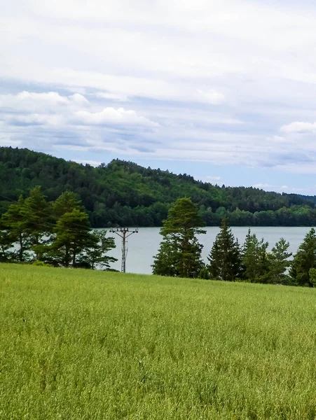 Field Ostrzyckie Lake Sullo Sfondo Natura Wiezyca Regione Kashubiana Polonia — Foto Stock
