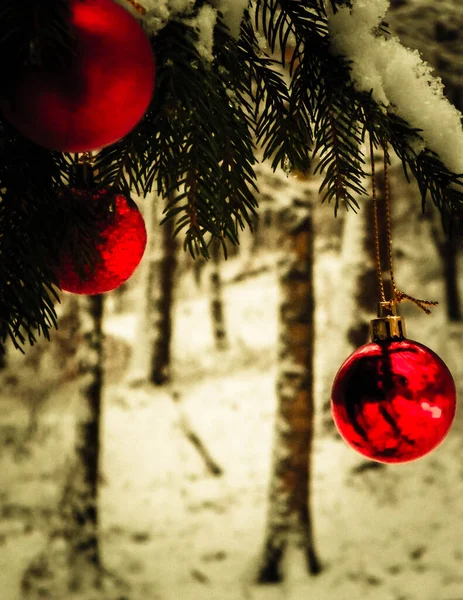 Zamknij Czerwone Kulki Świąteczne Zimowym Lesie Kartka Świąteczna Przestrzeń Kopiowania — Zdjęcie stockowe