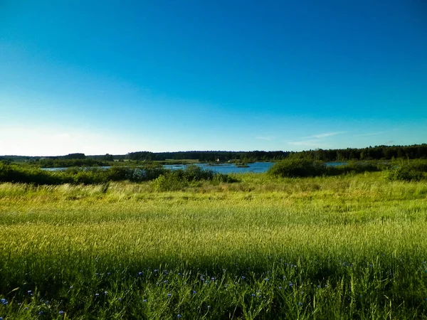 stock image Landscape of meadow and pond in background. Summer season, polish nature, picture from Kashubian, Pomeranian Voivodeship.