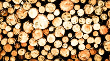 Ahşap kirişler doğal arka plan olarak. Doğa ve çevre koruma kavramı. Boşluğu kopyala.