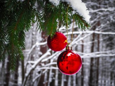 Noel balosu ağaçların üzerinde, ormanda, kış mevsiminde, Noel zamanı. Boşluğu kopyala.