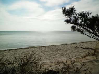 Hel Peninsula 'dan Baltık deniz kıyıları - Hel şehrine yakın plaj. Baltık Denizi ve Gdansk Körfezi 'nin güzel doğası. Seyahat ve doğa kavramı.