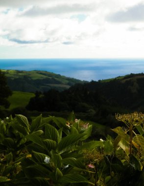 Azores adaları Sao Miguel 'in vahşi doğası. Arka planda Atlantik Okyanusu. Azores Portekiz 'in otonom bölgesi olan küçük bir takımadalardır..
