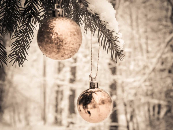 Χριστουγεννιάτικη Μπάλα Κλαδί Δέντρου Στο Δάσος Χειμερινή Περίοδος Χριστούγεννα Αντιγραφή — Φωτογραφία Αρχείου