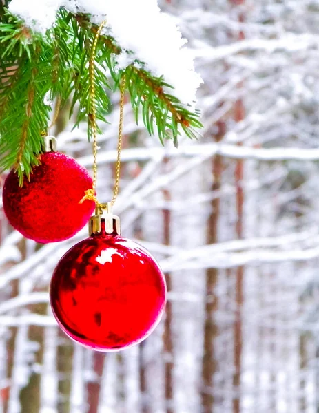 森のツリー小枝 冬の季節 クリスマスの時間にクリスマスボール スペースのコピー — ストック写真