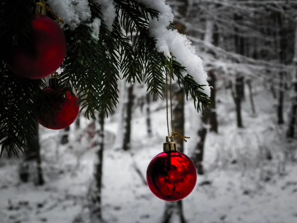Χριστουγεννιάτικη Μπάλα Κλαδί Δέντρου Χριστούγεννα Αντιγραφή Χώρου — Φωτογραφία Αρχείου