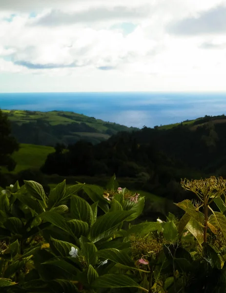 Gyönyörű Vad Természet Sao Miguel Azori Szigetek Atlanti Óceán Háttérben — Stock Fotó