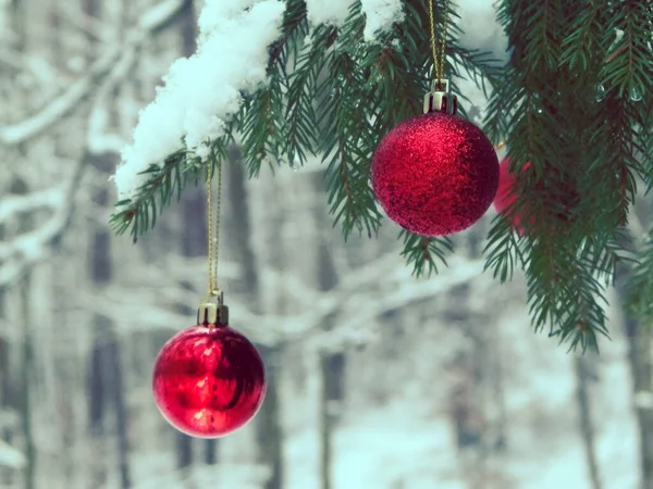 冬の森の中で赤いクリスマスボールを閉じます クリスマスカードコピースペース — ストック写真