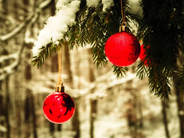 Zamknij Czerwone Kulki Świąteczne Zimowym Lesie Kartka Świąteczna Przestrzeń Kopiowania — Zdjęcie stockowe