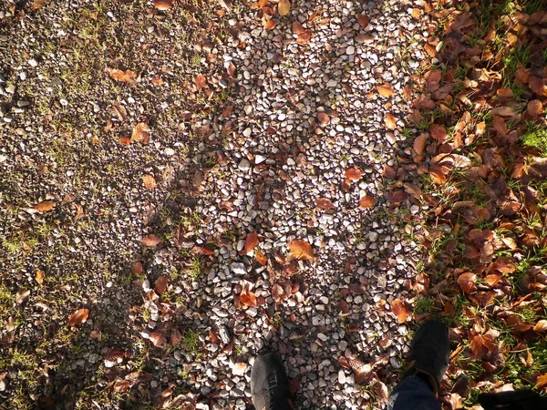 Waldbettwäsche Und Stiefel Von Jemandem Als Naturhintergrund Kopierraum Herbstlicher Spaziergang — Stockfoto