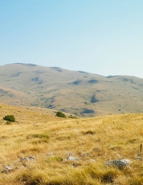 Makedonya 'nın Galicica Ulusal Parkı' ndaki Dağların Tepesi. Galiçya, Ochrid ve Prespa olmak üzere iki göl arasındaki ulusal parktır. Balkan doğası ve keşif kavramı.