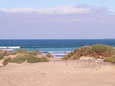 Caleta de Famara 'daki Plaj ve Atlantik Okyanusu, Lanzarote Kanarya Adaları. Caleta de Famara 'daki plaj sörfçüler arasında çok popülerdir. Boşluğu kopyala.