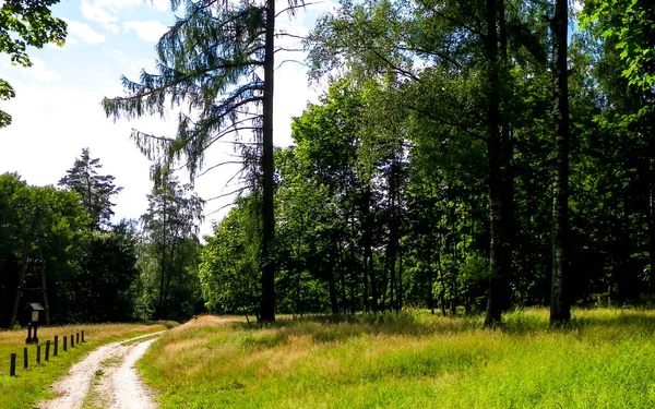 구역에 지역의 폴란드 북부의 아름다운 비비안 — 스톡 사진
