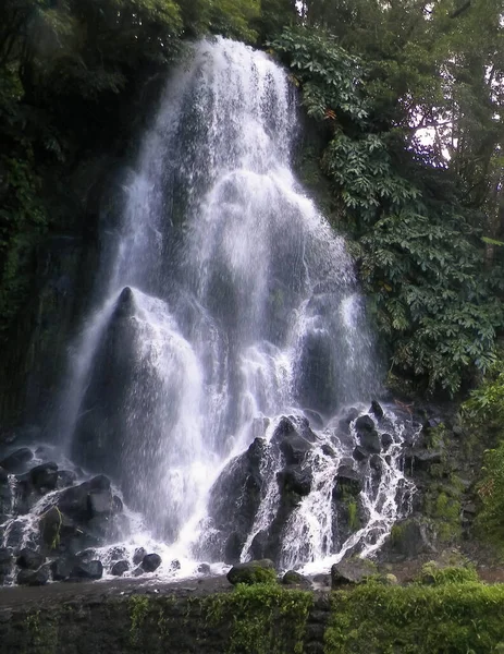 Waterfall Botanical Garden Ribeira Guilherme Miguel Island Azores Arhipelago Beauty — Stock Photo, Image