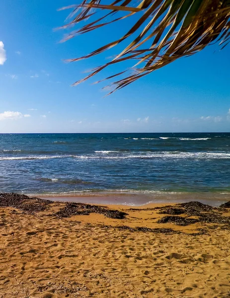 キプロス島パフォス市の近くの熱帯ビーチ 青い空のスペースをコピーする はがきのための良い背景 — ストック写真