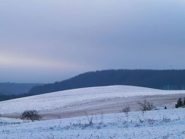 Zima Nad Wzgórzami Kaszubskimi Wieżyca Polska Wieczór Piękna Przyroda Regionu — Zdjęcie stockowe