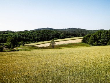 Tepeler, tarlalar ve çayırlar. Wiezyca 'nın güzel manzarası, Kashubia Bölgesi, Kuzey Polonya. Boşluğu mavi gökyüzünde kopyala.