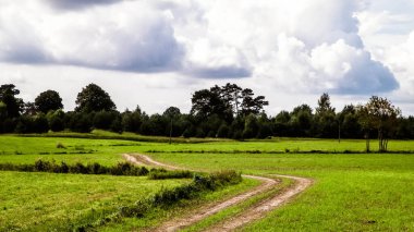 Kashubian kırsalındaki yeşil arazide. Polonya. Doğa ve tarım kavramı. Bulutlu gökyüzünde uzayı kopyala.
