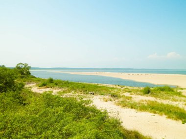 Sobieszewska Adası 'ndaki Baltık Denizi Kıyısı. Vistula Nehri 'nin kıyısında. Kuzey Polonya 'nın doğası.