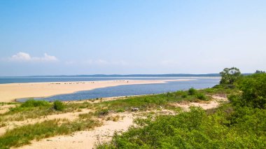 Sobieszewska Adası 'ndaki Baltık Denizi Kıyısı. Vistula Nehri 'nin kıyısında. Kuzey Polonya 'nın doğası.