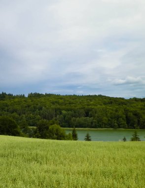 Field ve Ostrzyckie Gölü arka planda. Wiezyca Doğa, Kashubian Bölgesi, Polonya. Doğa, seyahat ve tarım kavramı.