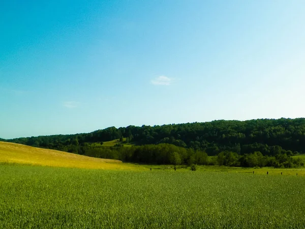 Wiezyca, Kashubian Bölgesi, Polonya 'da çayır ve tepelerin manzarası. Turizm ve keşif kavramı.