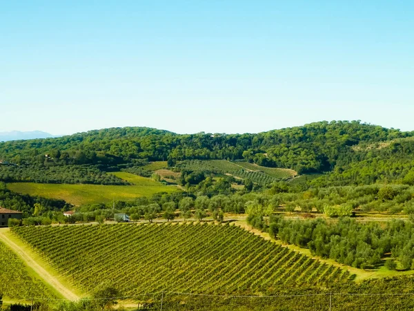 Landschaft Der Toskanischen Weinberge Bei Sonnigem Wetter Natur Und Landwirtschaftskonzept — Stockfoto