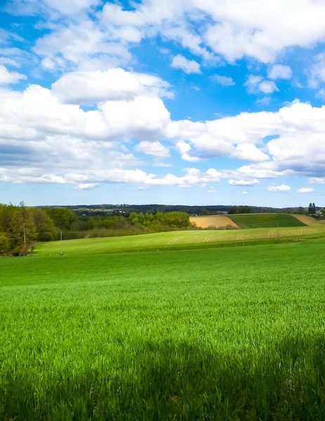 Kashubian kırsalının manzarası. Kuzey Polonya 'nın doğası ve tarım kavramı. Bulutlu gökyüzünde uzayı kopyala.