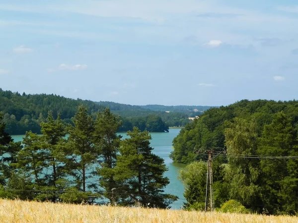 Landschaft Mit Haferfeld Und Ostrzyckie See Wiezyca Kaschubische Region Polen — Stockfoto