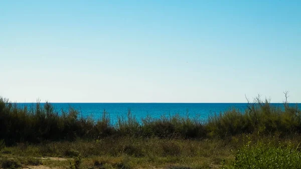 Středomoří Příroda Blízkosti Města Vada Tyrhénské Pobřeží Pozadí Modré Oblohy — Stock fotografie