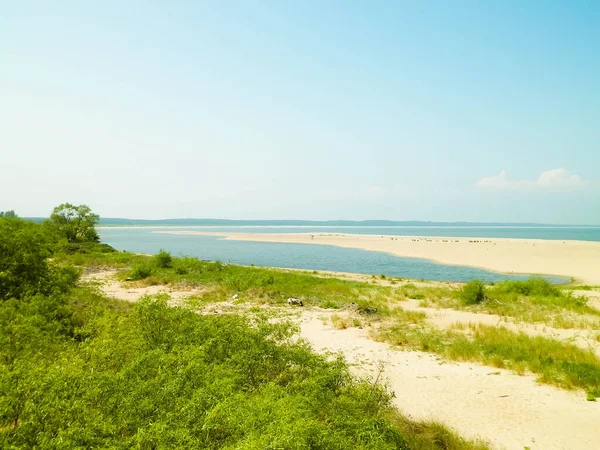 Sobieszewska Adası 'ndaki Baltık Denizi Kıyısı. Vistula Nehri 'nin kıyısında. Kuzey Polonya 'nın doğası.
