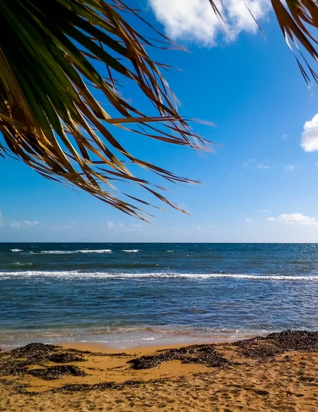 Paphos City yakınlarındaki tropik plaj, Kıbrıs adası. Boşluğu mavi gökyüzünde kopyala - bir kartpostal için iyi bir arkaplan.