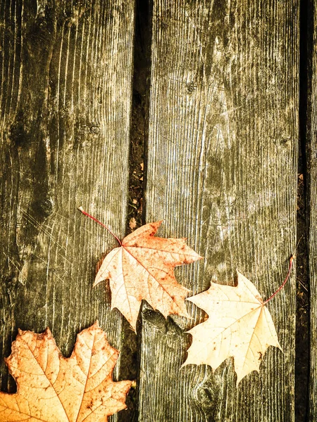 Yellow Autumn Leaves Wooden Plank Nature Background Copy Space — Stock Photo, Image