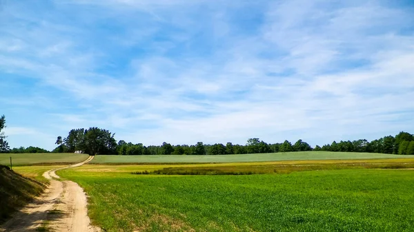 Tuchola Ormanı 'ndaki köy yolu ve çayır, Kashubia Bölgesi, Polonya. Doğa ve tarım kavramı.