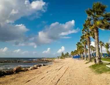 Kıbrıs adasındaki Paphos 'ta park alanı ve plaj. Egzotik iklim ve seyahat kavramı.