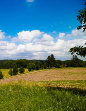 Wiezyca Bölgesi, Pomerania, Kashubia, Polonya 'nın güzel tepeleri ve çayır manzarası.