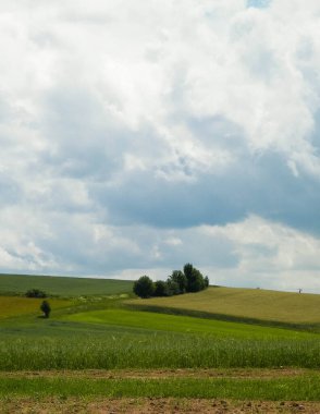 Wiezyca Bölgesi, Pomerania, Kashubia, Polonya 'nın güzel tepeleri ve çayır manzarası.