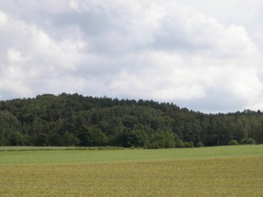 Wiezyca Bölgesi, Pomerania, Kashubia, Polonya 'nın güzel tepeleri ve çayır manzarası.