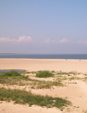 Sobieszewska Adası 'ndaki Baltık Denizi Kıyısı. Vistula Nehri 'nin kıyısında. Kuzey Polonya 'nın doğası.