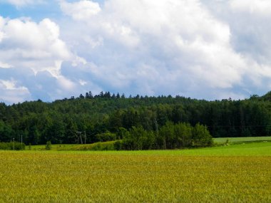 Wiezyca Bölgesi, Pomerania, Kashubia, Polonya 'nın güzel tepeleri ve çayır manzarası.
