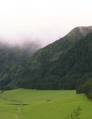 Sao Miguel Adası 'nın dağ manzarası. Azores Takımadaları için sisli hava tipik.