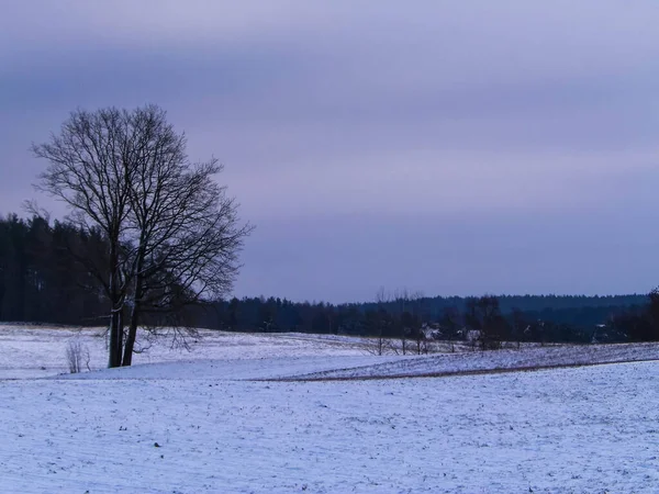 Winter Über Kaschubischen Wiesen Polnische Natur Wintersaisonkonzept Kopierraum Bei Bewölktem — Stockfoto