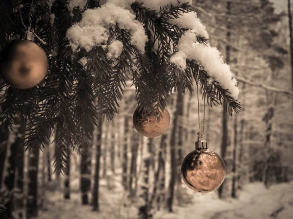 在树枝上的基督质量球 圣诞节的时候复制空间 — 图库照片